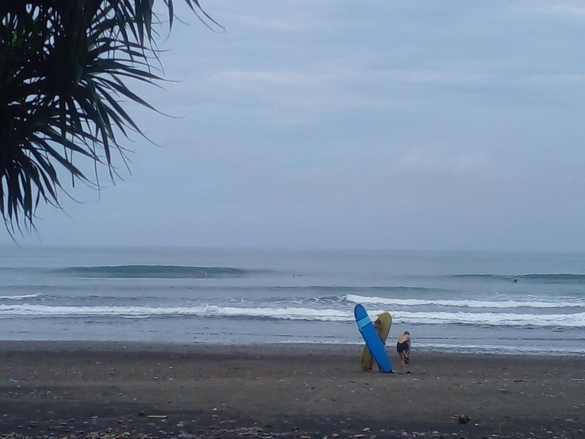 Medewi Good Vibes Stay&Surf Jembrana Eksteriør billede